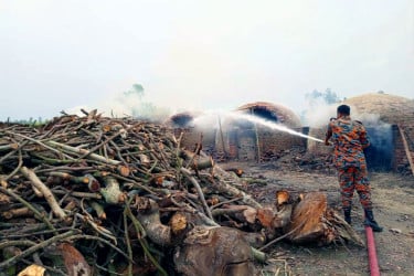 সাঘাটায় 'কাঠ পুড়িয়ে কয়লা' তৈরির কারখানায় অভিযান, ২০টি চুল্লি ধ্বংস