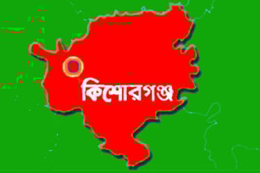 কুলিয়ারচরে বিদ্যুৎস্পৃষ্টে দুই কৃষকের মৃত্যু