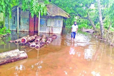 বন্যায় ফের ডুবল ফেনী