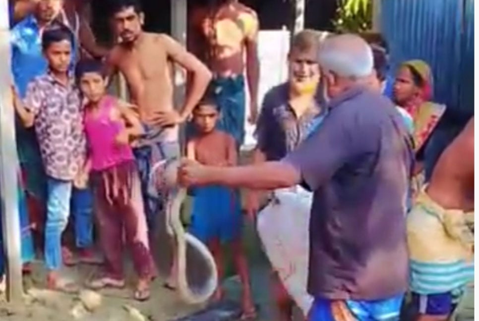 কুড়িগ্রামে সাপ ধরতে গিয়ে সাপুড়ের মৃত্যু