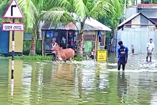 লালমনিরহাটে হাজারো পরিবার পানিবন্দি