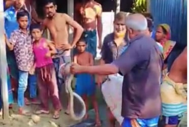 কুড়িগ্রামে সাপ ধরতে গিয়ে সাপুড়ের মৃত্যু