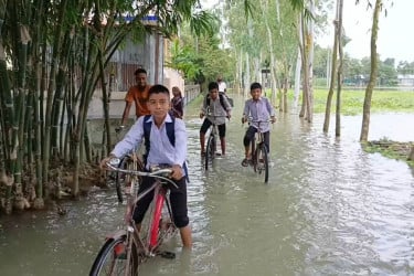 লালমনিরহাটে তিস্তার স্রোতে ভেঙেছে পাউবোর বাঁধ, হাজারো পরিবার পানিবন্দি