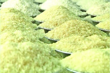 চালবাজি বন্ধে কঠোর সরকার