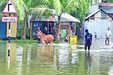 লালমনিরহাটে হাজারো পরিবার পানিবন্দি