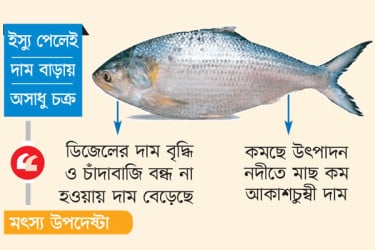ইলিশ যেন বিলাসী পণ্য