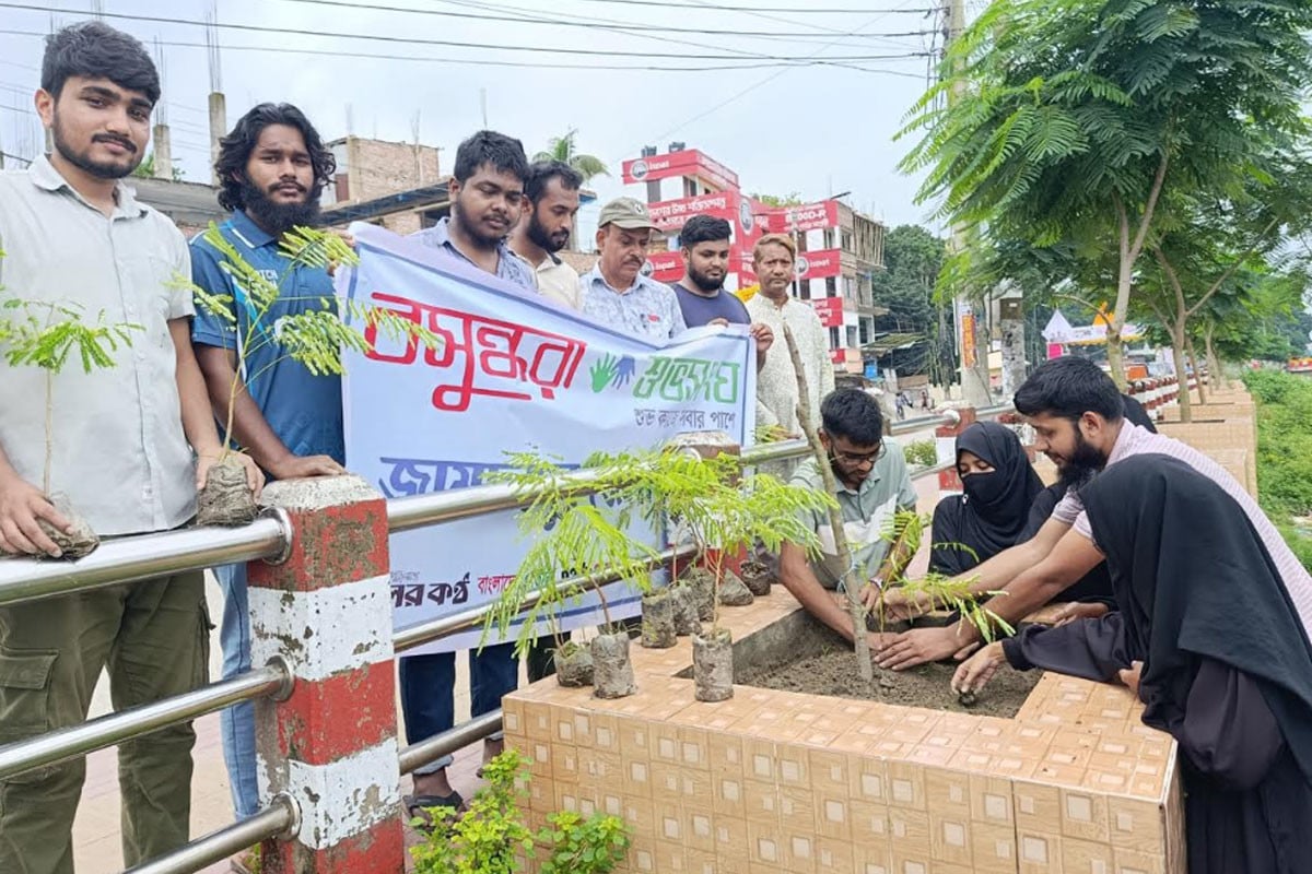 জামালপুরে বসুন্ধরা শুভসংঘের উদ্যোগে বৃক্ষরোপণ কর্মসূচি