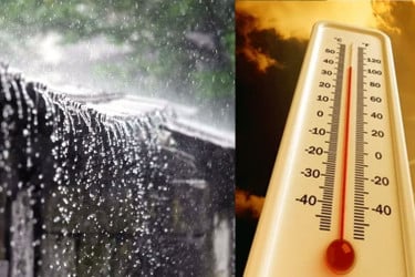 টানা বৃষ্টির মধ্যেও বাড়তে পারে তাপমাত্রা