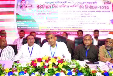 রাজনৈতিক দলগুলো ঐক্যবদ্ধ না হলে বিপদ অপেক্ষা করছে: এ্যানি