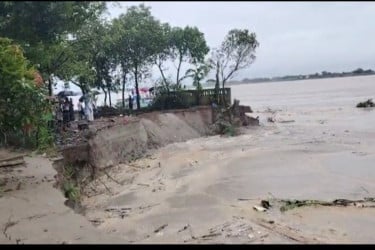 আবারও পদ্মার ভাঙনে দিশেহারা কয়েক হাজার মানুষ