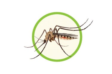 ডেঙ্গুতে একজনের মৃত্যু হাসপাতালে ভর্তি ২০৯
