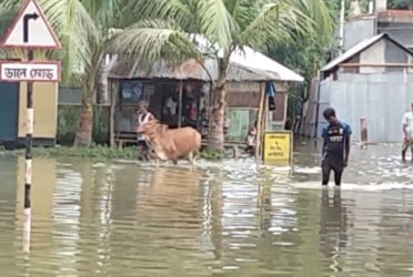 লালমনিরহাটে বিপৎসীমার ওপরে তিস্তার পানি
