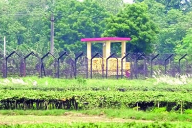 কাঁটাতারে থমকে আত্মীয়তার বন্ধন
