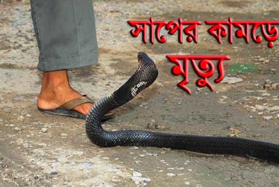 নওগাঁয় সাপের কামড়ে শিক্ষার্থীর মৃত্যু