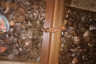 নাটোরে রেললাইনে শিকল পেঁচিয়ে নাশকতার চেষ্টা