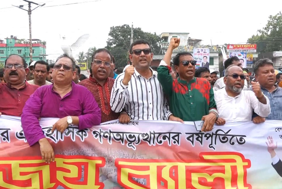 ঝিনাইদহে বিএনপির বিজয় র‌্যালি