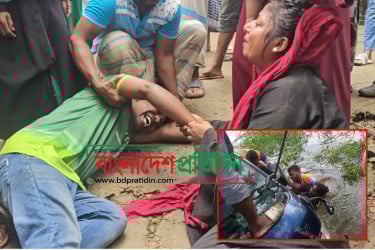 আড়াই বছর পর দেশে ফেরা বাহারের আনন্দ এখন বিশাদ, এলাকায় শোকের মাতম