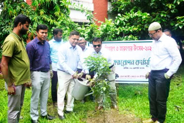 বেরোবিতে জুলাই পুনর্জাগরণ ও তারুণ্যের উৎসব উপলক্ষে বৃক্ষরোপণ কর্মসূচি