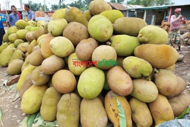 প্রথমবারের মতো সমুদ্রপথে সাড়ে ৩ টন কাঁঠাল রফতানি