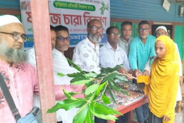কুড়িগ্রামে জুলাই বর্ষপূর্তি উপলক্ষে শহীদদের
স্মরণে ফলজ বৃক্ষ ও টিফিন বিতরণ