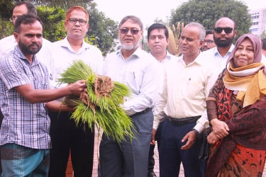ব্রিতে জুলাই বিপ্লব উপলক্ষে তারুণ্যের মাঝে রোপা আমন ধানের চারা বিতরণ