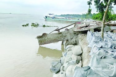পদ্মায় ভাঙছে নতুন এলাকা