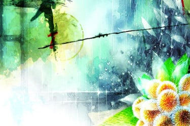 কদমফুলে বেদনার বর্ষা
