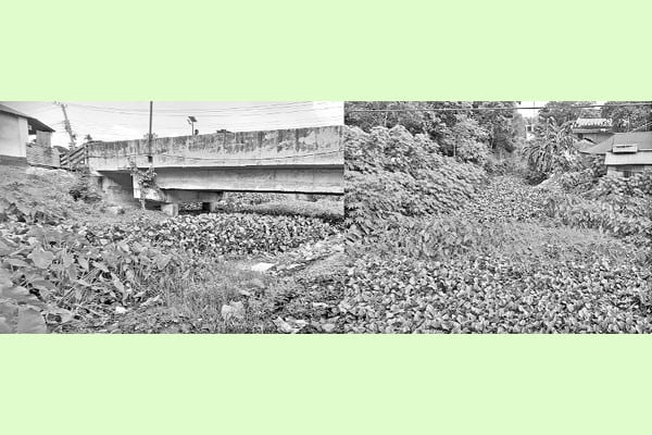 তীরবাসীর কষ্টের কারণ বামনডাঙ্গা