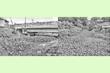 তীরবাসীর কষ্টের কারণ বামনডাঙ্গা