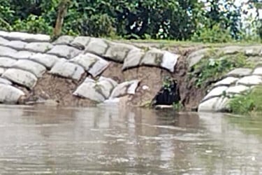 বগুড়ায় নদীতে পানি বৃদ্ধি, ধসে পড়ছে সড়ক