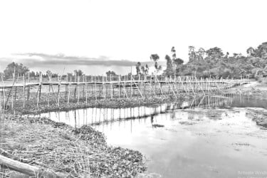 সেতুর অভাবে দুর্ভোগ
