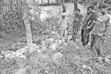 তরুণদের উদ্যোগে বদলে যাচ্ছে গ্রাম