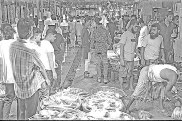 মৌসুমে নেই লোকাল ইলিশ