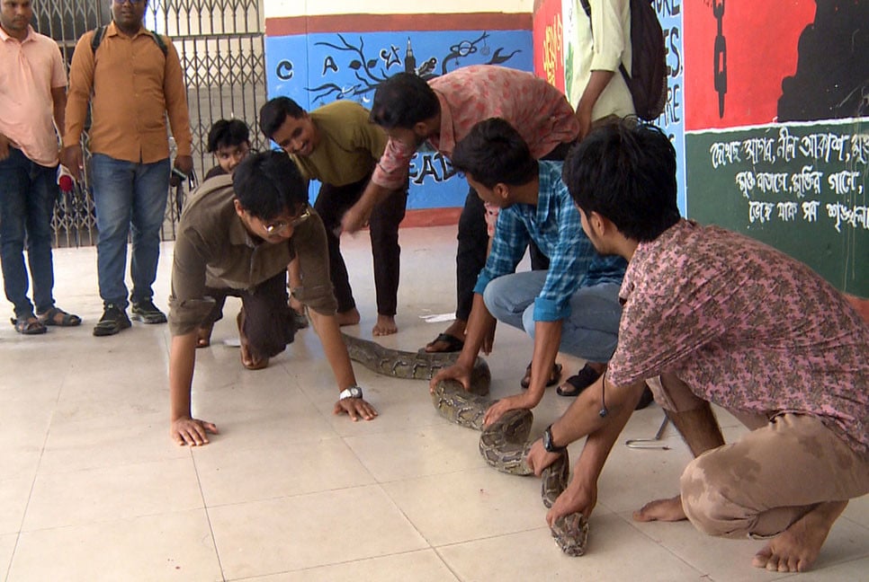 ১২ ফুট লম্বা অজগর উদ্ধার