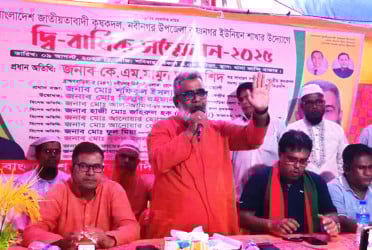 নবীনগরে কৃষকদলের দ্বি-বার্ষিক সম্মেলন