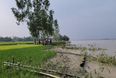 তিস্তার পানি রাতে বাড়ে দিনে কমে