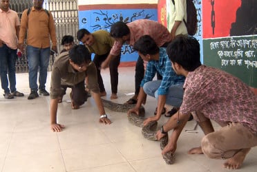 ১২ ফুট লম্বা অজগর উদ্ধার