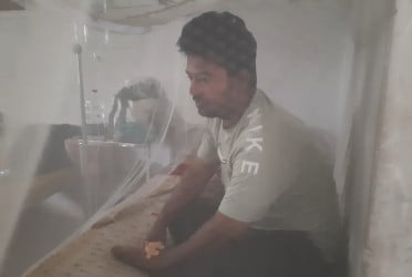 মোংলায় বেড়েই চলেছে ডেঙ্গুর প্রাদুর্ভাব
