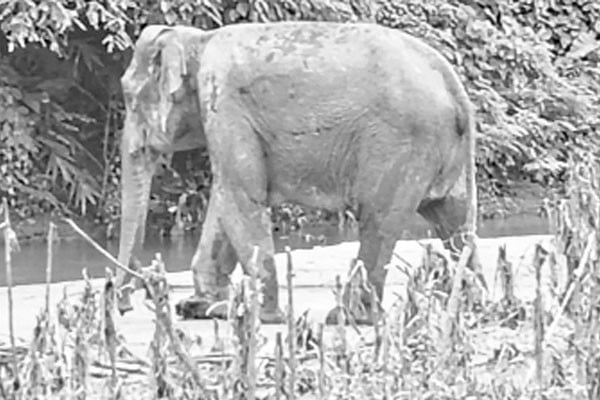 সীমান্তে মাইন বিস্ফোরণ
