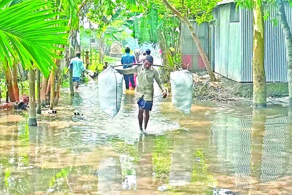 তিস্তা পদ্মায় বাড়ছে পানি বন্যার শঙ্কা