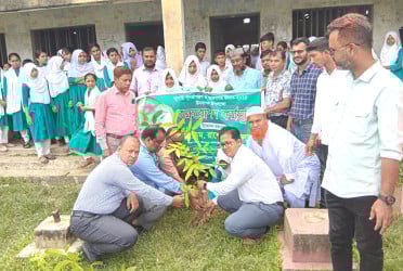 আখাউড়ায় জুলাই শহীদদের স্মরণে বৃক্ষরোপণ কর্মসূচি