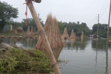 কুষ্টিয়ায় বিপৎসীমার ১ মিটার নিচ দিয়ে প্রবাহিত হচ্ছে পদ্মার পানি
