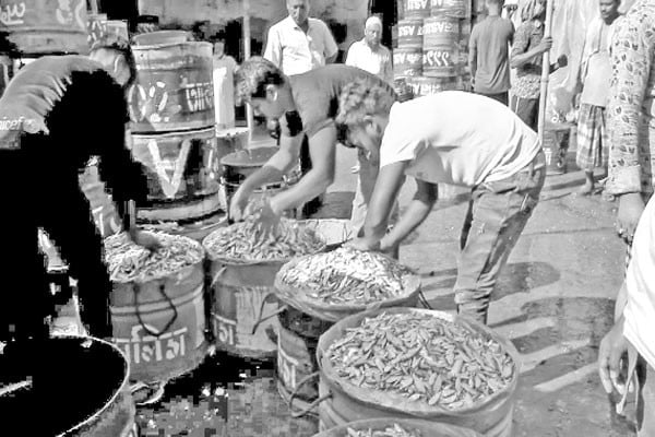 কাপ্তাই হ্রদে মাছের বাম্পার আহরণ