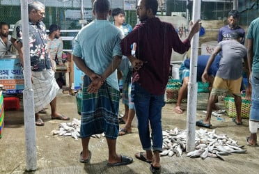 ভরা মৌসুমেও সাগরে মিলছে না আশানুরূপ ইলিশ