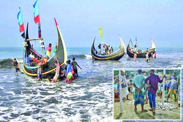 ইলিশ গেল কই?