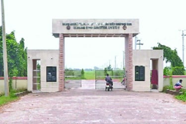 প্লট ২৮৬টি শিল্প কার্যক্রম ৩টিতে