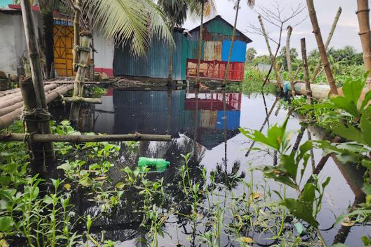 সোনারগাঁয়ে কৃত্রিম বন্যায় পানিবন্দি ৩০ হাজার মানুষ, আক্রান্ত হচ্ছে বিভিন্ন রোগে