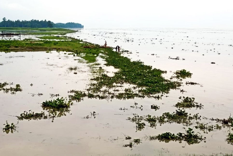 যমুনার পানি বিপৎসীমার পথে, বগুড়ায় বন্যার শঙ্কা