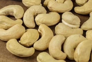 কাজু বাদাম খাওয়ার যত উপকার