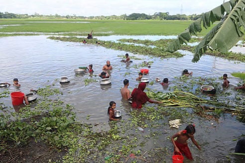 মাছবোঝাই পিকআপ খাদে, উৎসব করে ধরলেন স্থানীয়রা